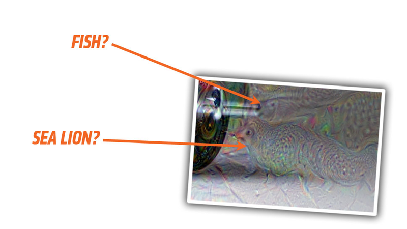 Illustration for article titled This Is How Google's Dreaming Robot Sees Cars